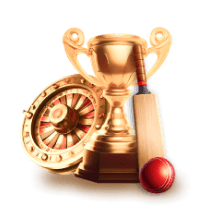 PNG-VipCashback icon
